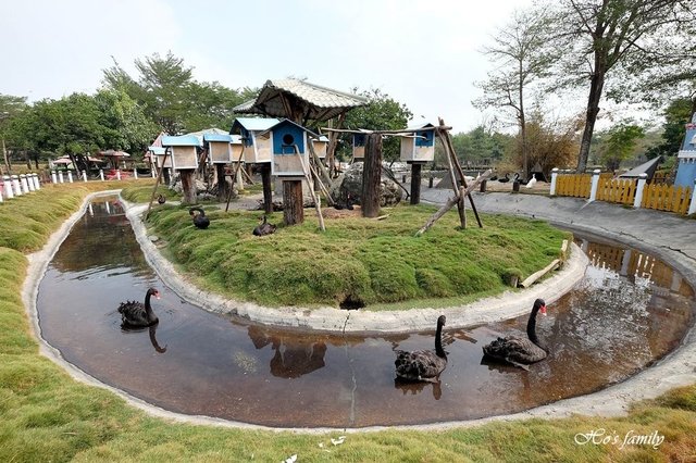 【台南親子景點】頑皮世界野生動物園4.JPG