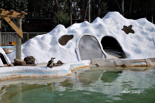 【台南親子景點】頑皮世界野生動物園12.JPG