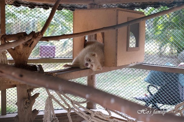 【台南親子景點】頑皮世界野生動物園28.JPG