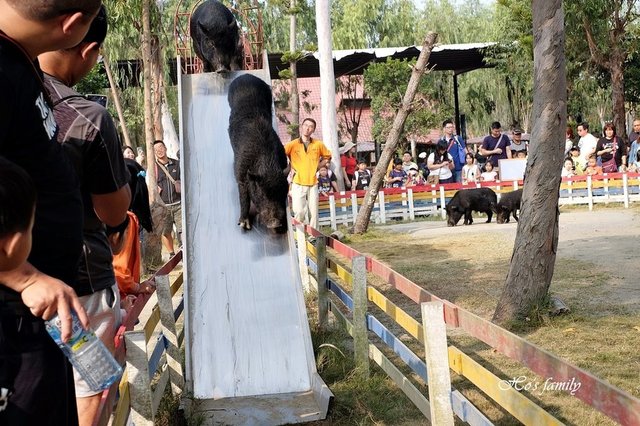 【台南親子景點】頑皮世界野生動物園58.JPG