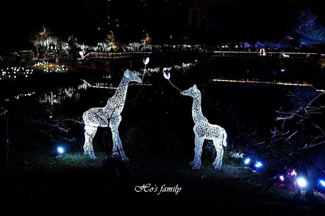 【新竹新景點】新竹公園城市躲貓貓燈節16.JPG