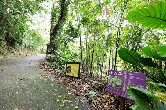 【八里親子餐廳】桃樂絲森林（穀興農場）免門票玩水烤肉玩沙用餐，八里親子一日遊景點25.JPG