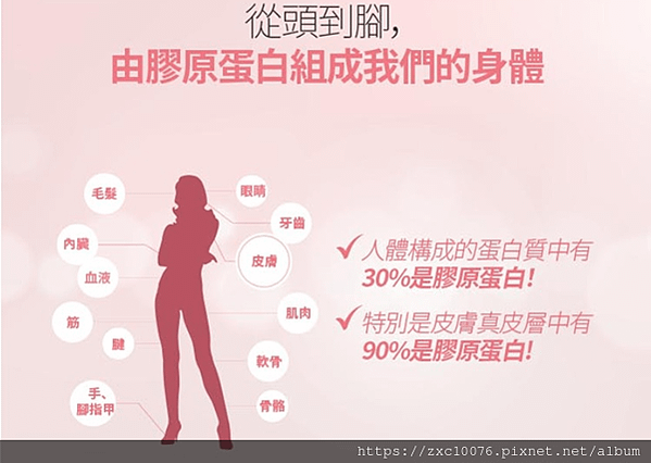 膠原蛋白