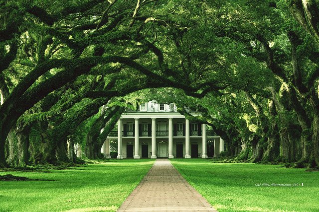 Oak Alley Plantation