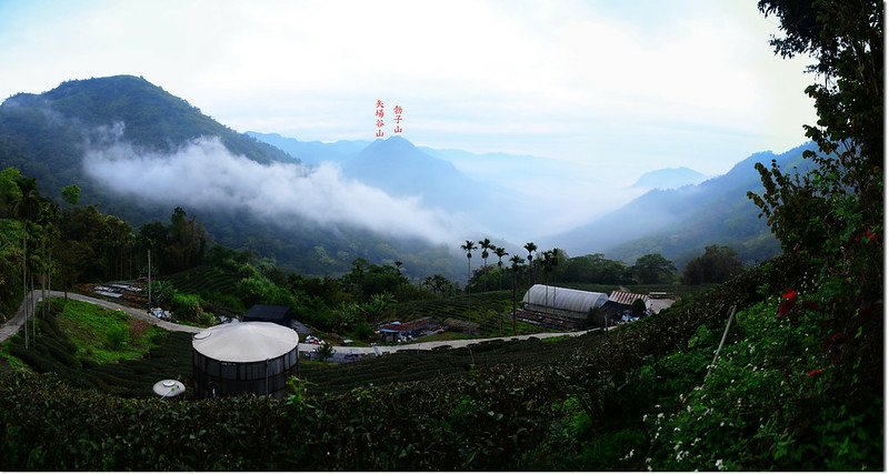 山美道路南眺 1-1