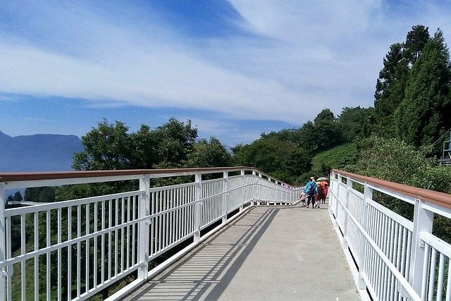 清境農場天空步道 (8)