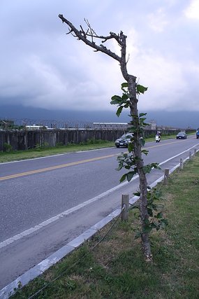 20100711 099.jpg