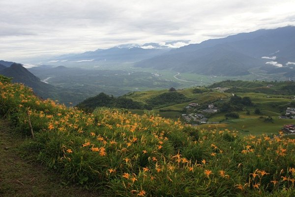 DSC00234