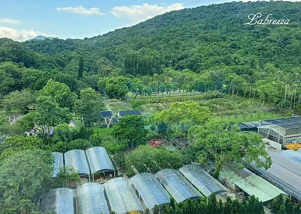 士林萬麗-64