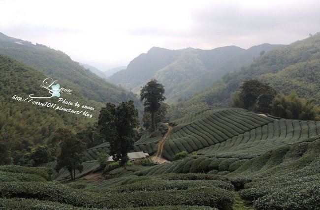 沿途風景