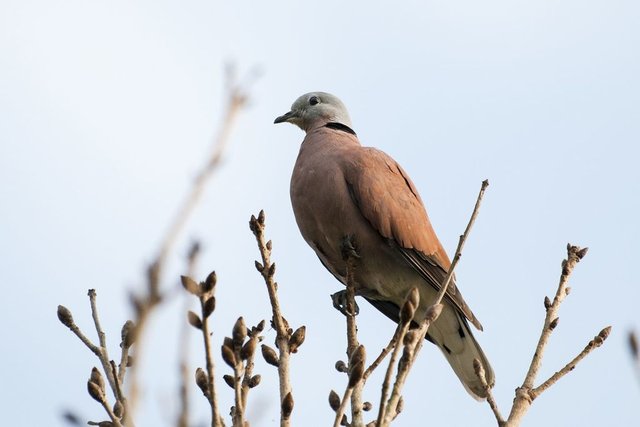 DSC_5433.jpg