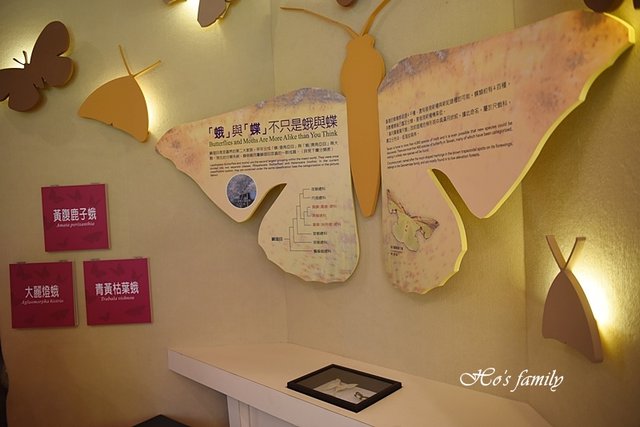 【新北親子景點】三峽滿月圓森林遊樂區22.JPG