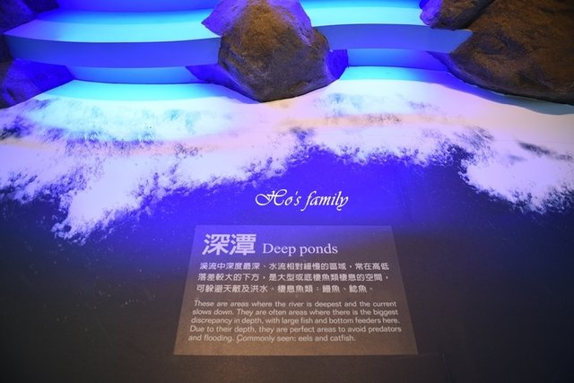 【新北親子景點】三峽滿月圓森林遊樂區45.JPG