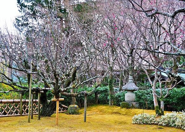 【靜岡縣 | 熱海】杉本博司X眺望海景的MOA美術館：著正統