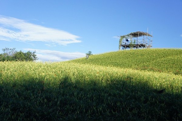 DSC00950