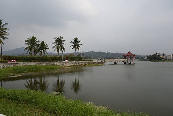 DSC_0205.JPG