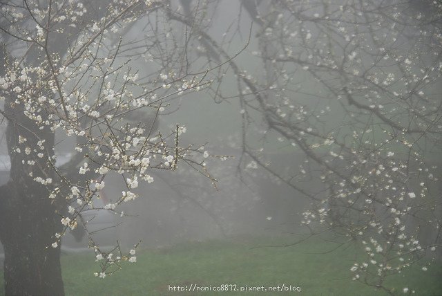DSC_8189