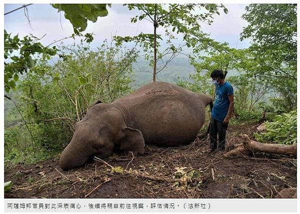 雷劈/雷擊/只有一個合理解釋：男人是蠢貨+幾乎所有被雷劈死的