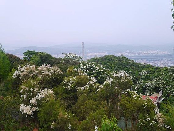 P2580985.JPG