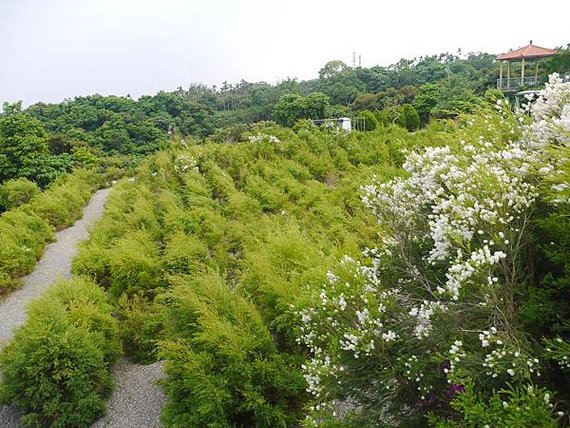 P2580984.JPG