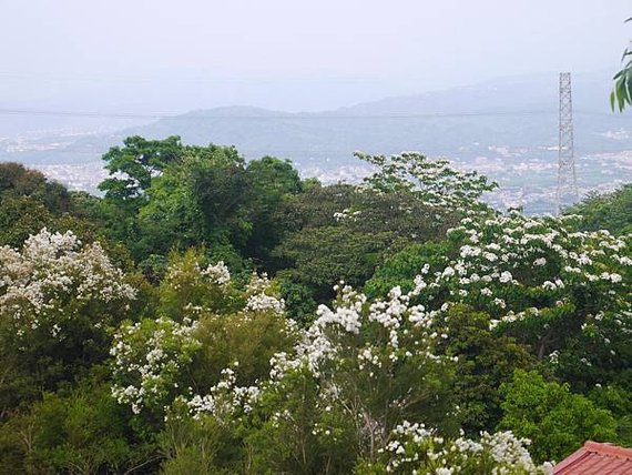 P2580993.JPG