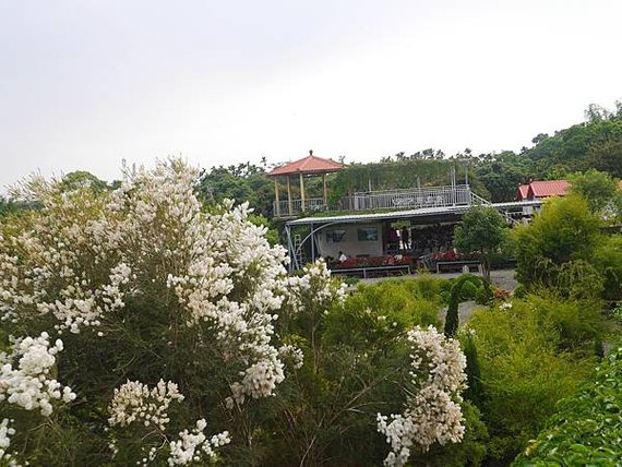P2580996.JPG