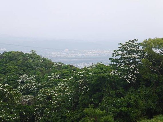 P2580898.JPG
