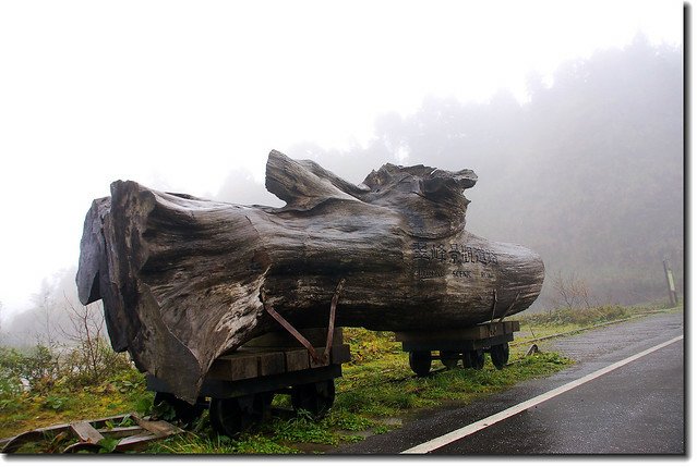 翠峰景觀道路