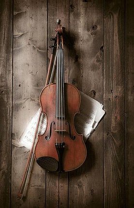 violin