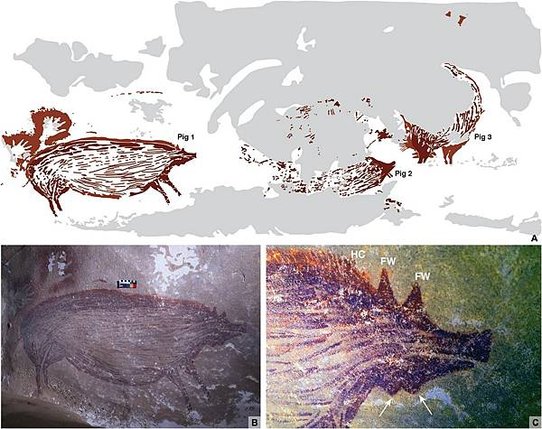 短篇  4.55萬年前蘇拉威西，世界最早動物繪畫，是豬豬