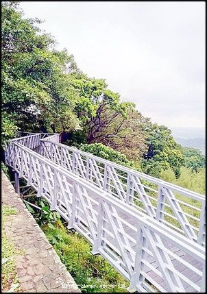 觀音山林梢步道-1_012.jpg