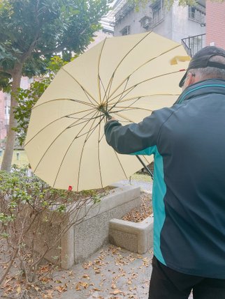 雨傘王BigRed自動直傘/自動折傘推薦༺防風/抗雨/抗UV