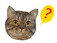 minou.png