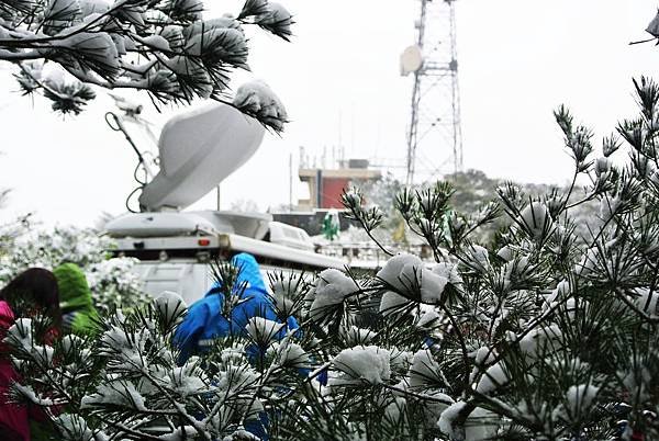 87.JPG