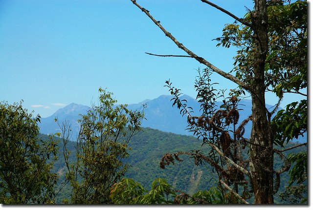 橫屏山東北眺奇萊連峰