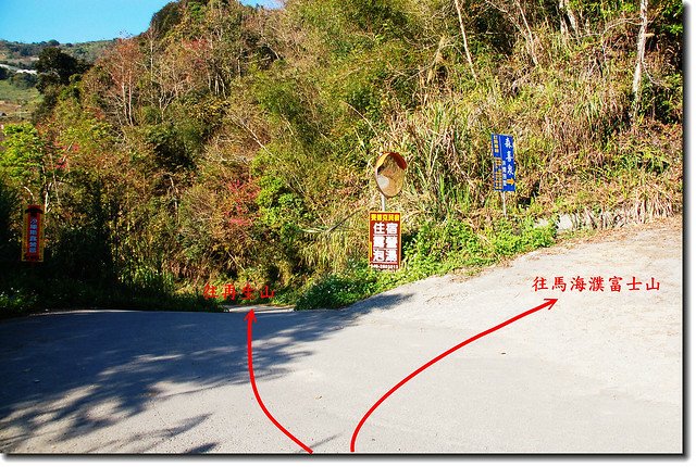 馬海濮、再生山岔路