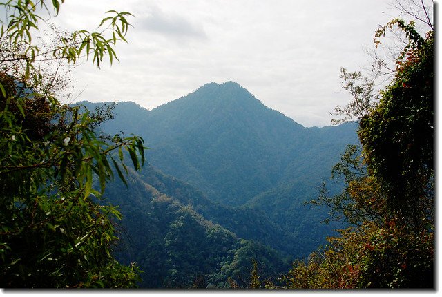 再生山腰望馬海濮富士山