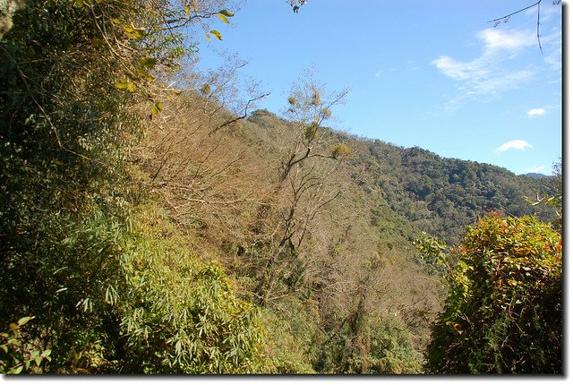 再生山登山路徑腰繞段望再生山