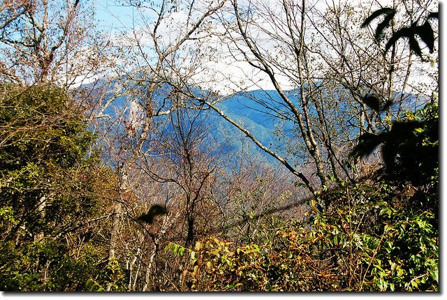 再生山頂眺奇萊南峰、南華山