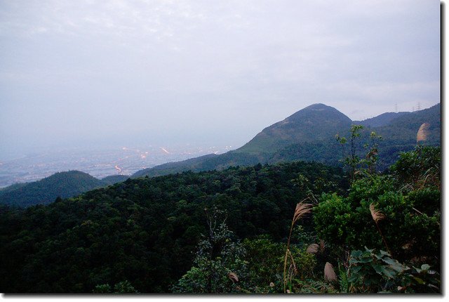 金面棧台觀景台俯瞰鵲子山