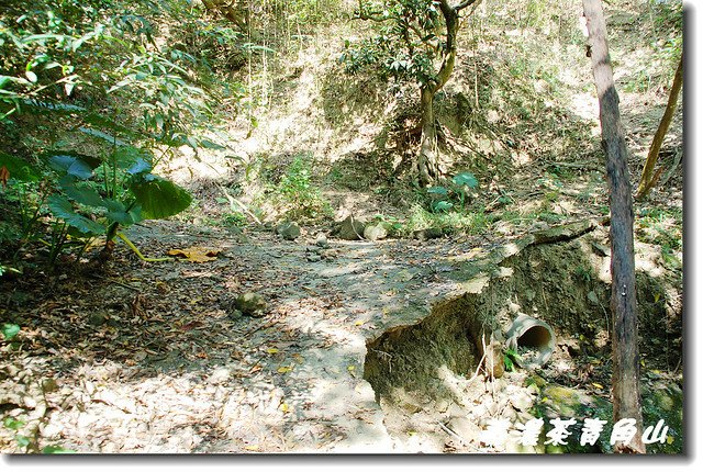 廢產道第一處岔路