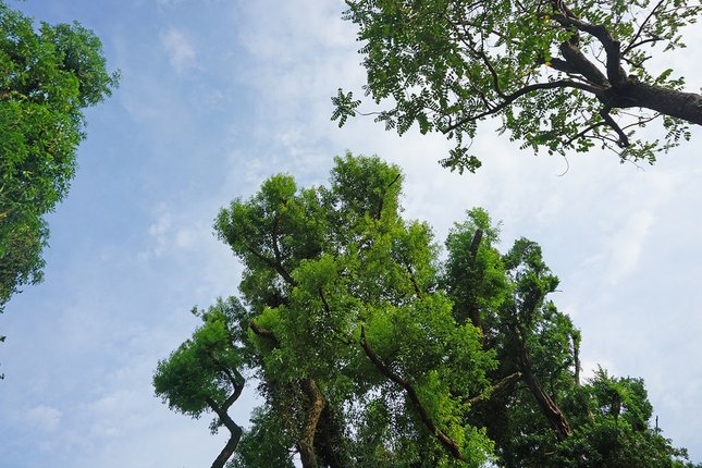 品陽大苑 建案 甲桂林 學府宅 二環捷運站 台北植物園 南門市場 中正紀年堂 歷史博物館 中正區建案 