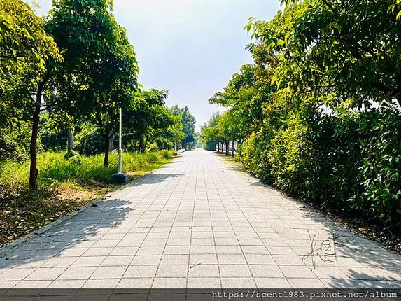 ＊【台南開箱】超酷的城市森林「巴克禮紀念公園」荒野公園，你我