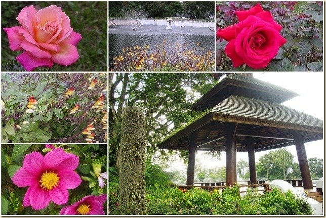 複製 -4-2