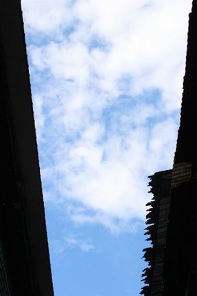 IMG_2729