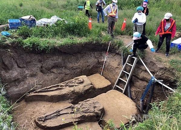 繼南科「台灣第一狗」挖出石虎或「台灣第一貓」/台灣規模最大的