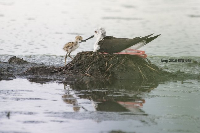 DSC_3396.jpg