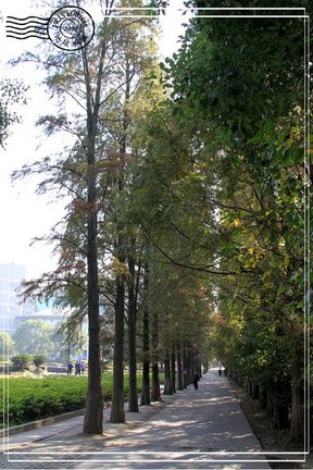 武漢大學照片 097.jpg