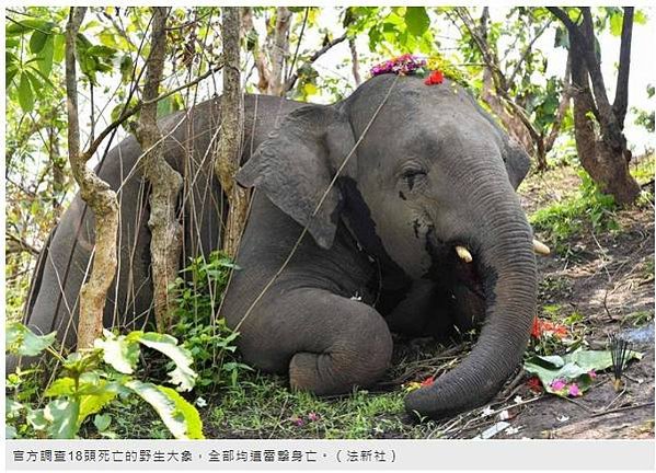 雷劈/雷擊/只有一個合理解釋：男人是蠢貨+幾乎所有被雷劈死的