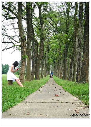 IMG_1707-20120914-20120917
